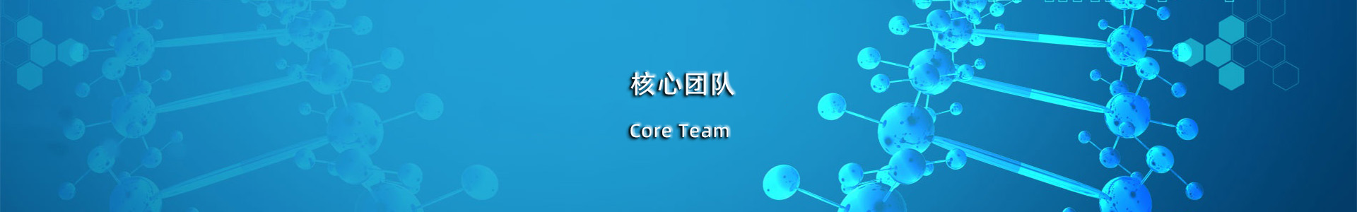 核心团队