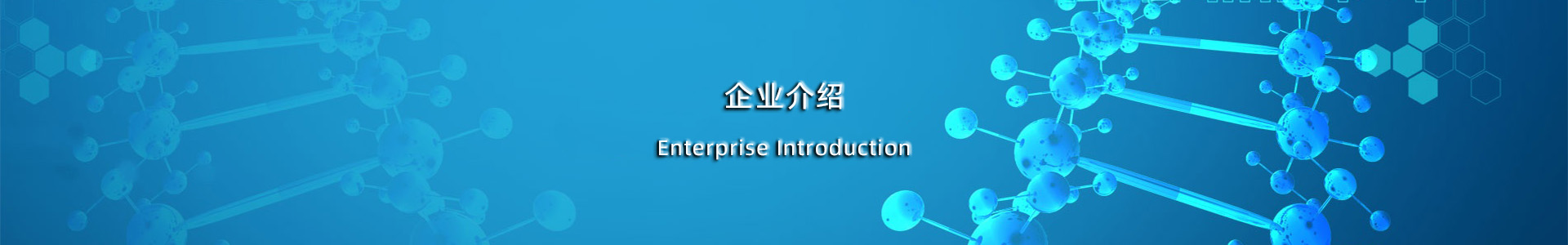 企业介绍